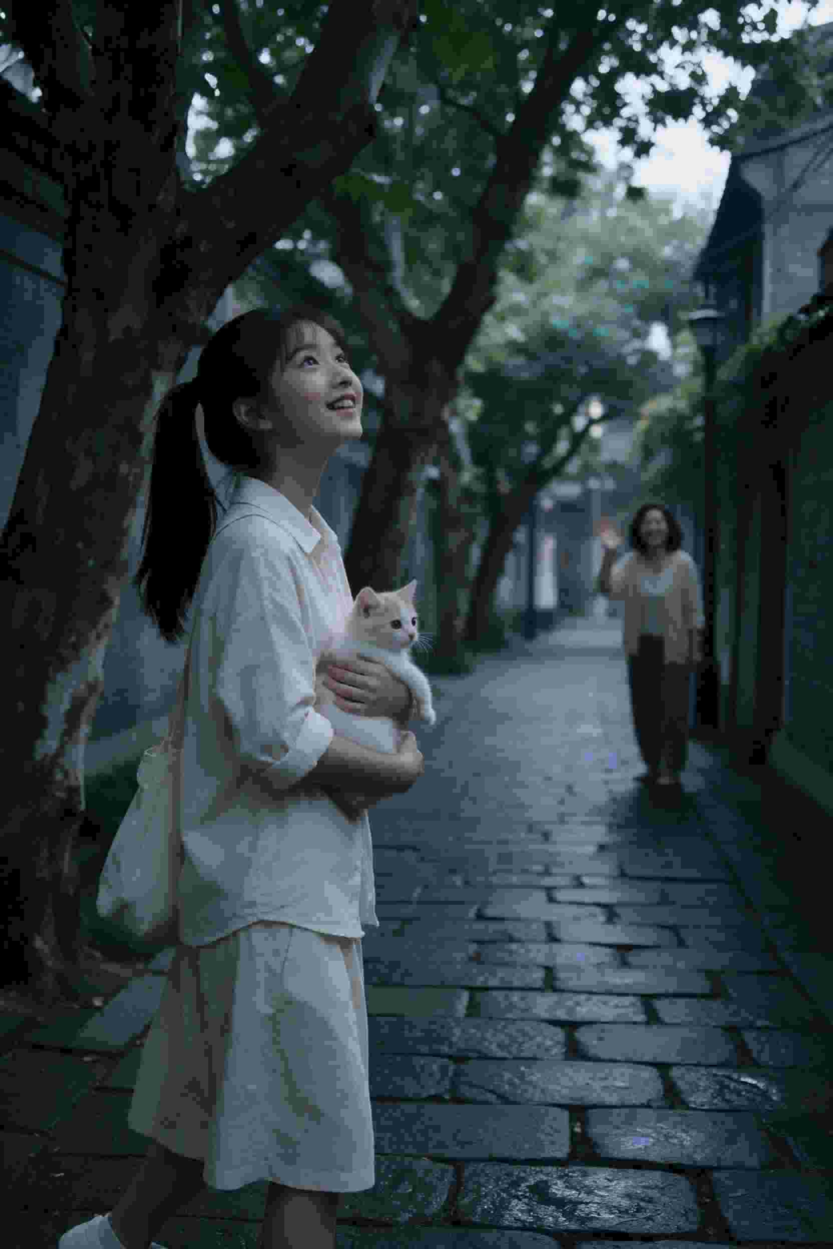 樱花恋歌