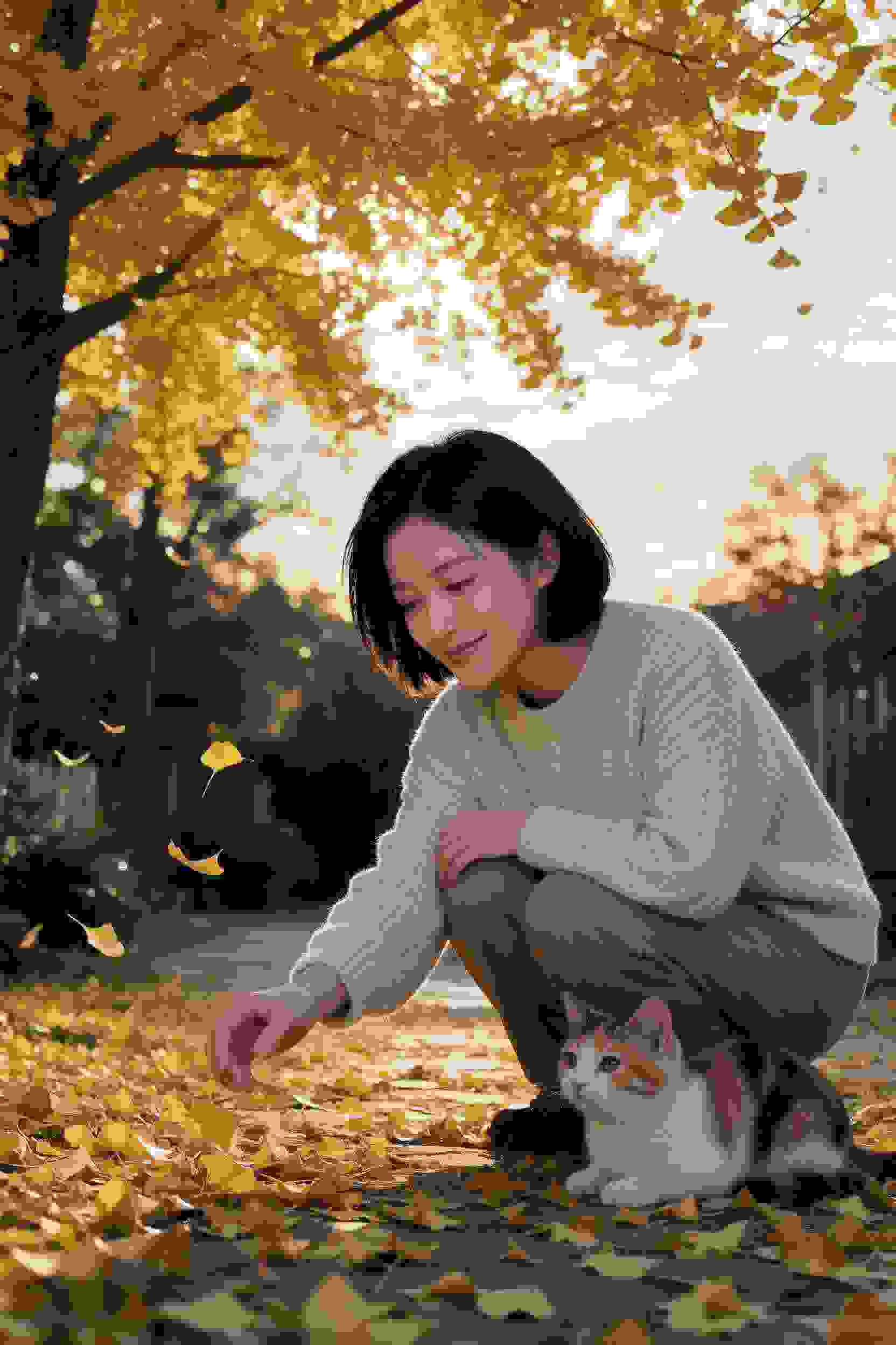 谋杀之谜